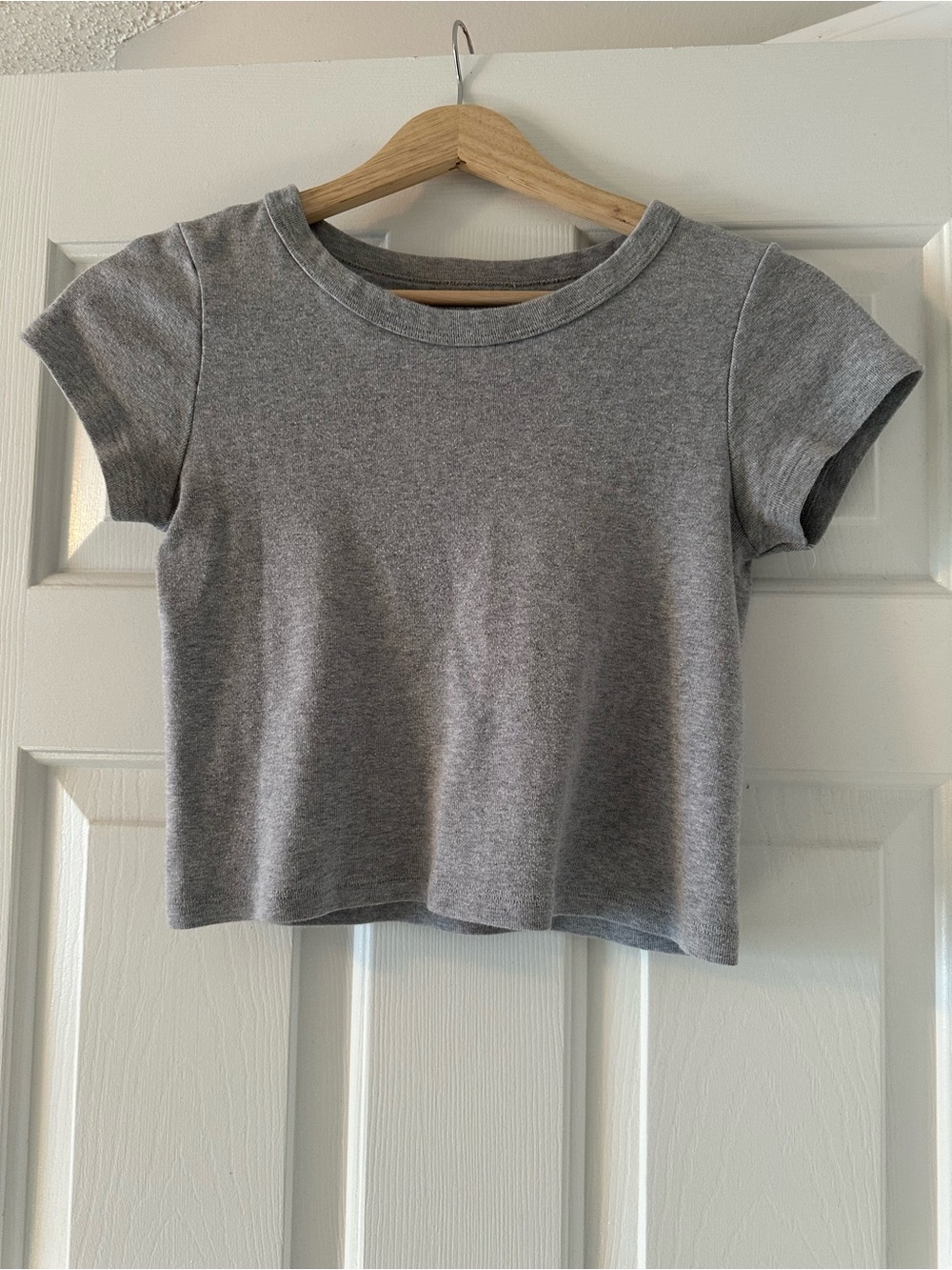 Brandy Melville Basic Gray Cropped Tee
